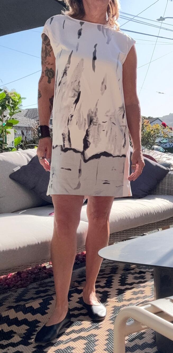 Dalia Sumi-e Ink Wash Watercolor Print Sleeveless Shift Dress Cream Gray Sz 8